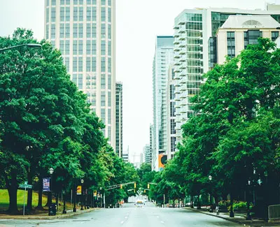 City street lined w/ trees